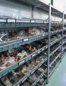 מערכת מידוף קל לאחסון מוצרים קלים